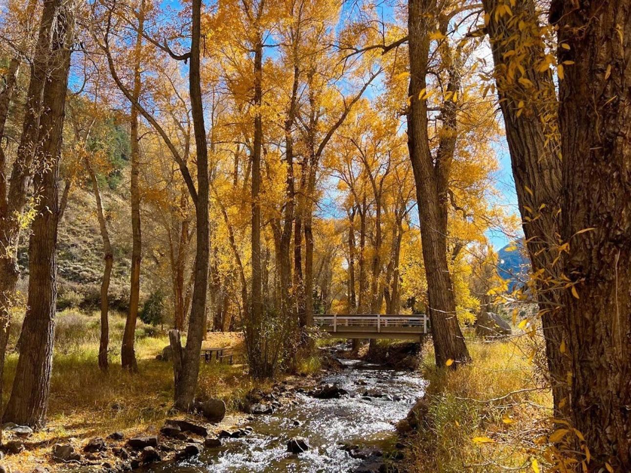 Poncha Creek Mountain Lodge, Near Monarch Mtn Салида Экстерьер фото